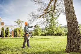 Best Hedge Trimming  in Lewisburg, PA